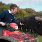 Steve Mitchell Buffalo Farmer