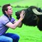 Buffalo Steve