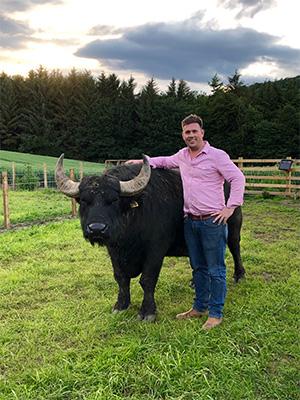 Buffalo Farm Steve