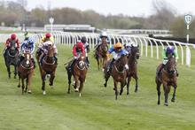 Lyte Products produce results in the health, recovery and ongoing performance of horses and other animals