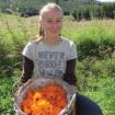 Meadowsweet Herbal Apothecary